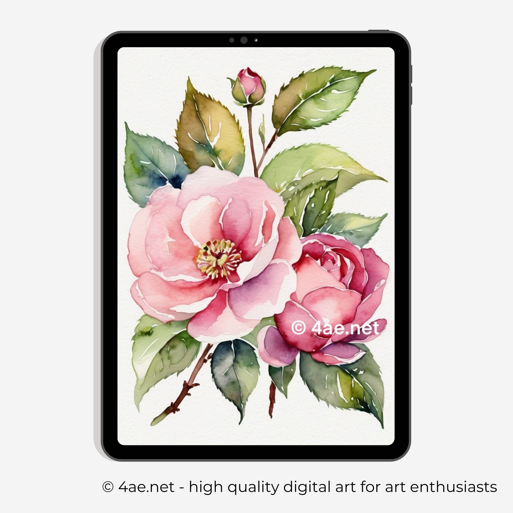 Floral iPad Wallpaper #71 Rose Garden Retreat